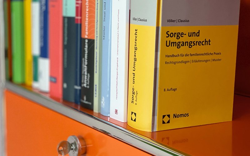 Das Foto zeigt eine Aufnahme von einem Bücherregal, das vorderste Buch hat den Titel "Sorge- und Umgangsrecht" 